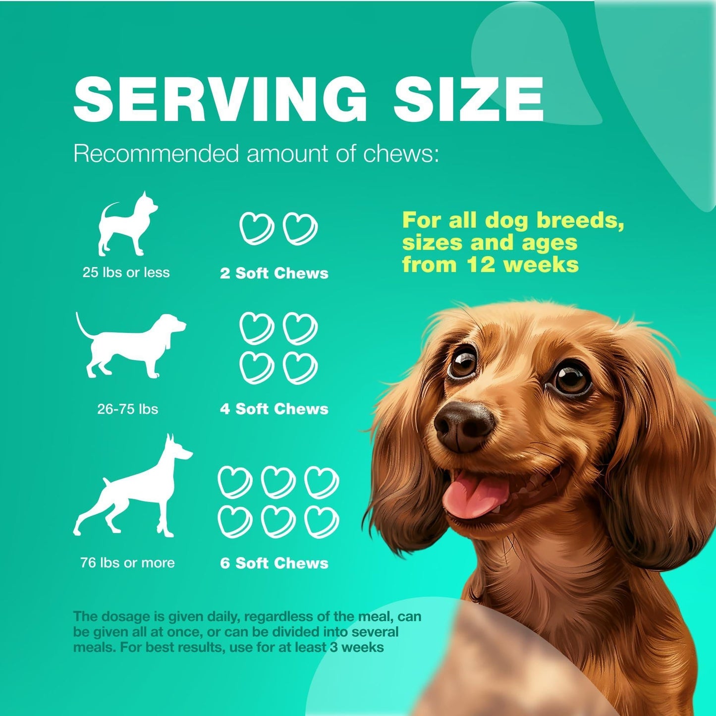 Probiotics for Dogs Gut Health Digestion Immunity Yeast Balance Itchy Skin Allergies Support   Dog Probiotic Chews with Digestive Enzymes for Gut Flora  Soft Treats with Pumpkin and Yeast Powder