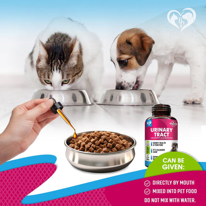 Cat Dog Urinary Tract Infection Treatment Natural UTI Medicine Cranberry 2 Pack 60 ml D Mannose  Kidney Bladder Support Best for Incontinence Pet Renal Health & Care Drops