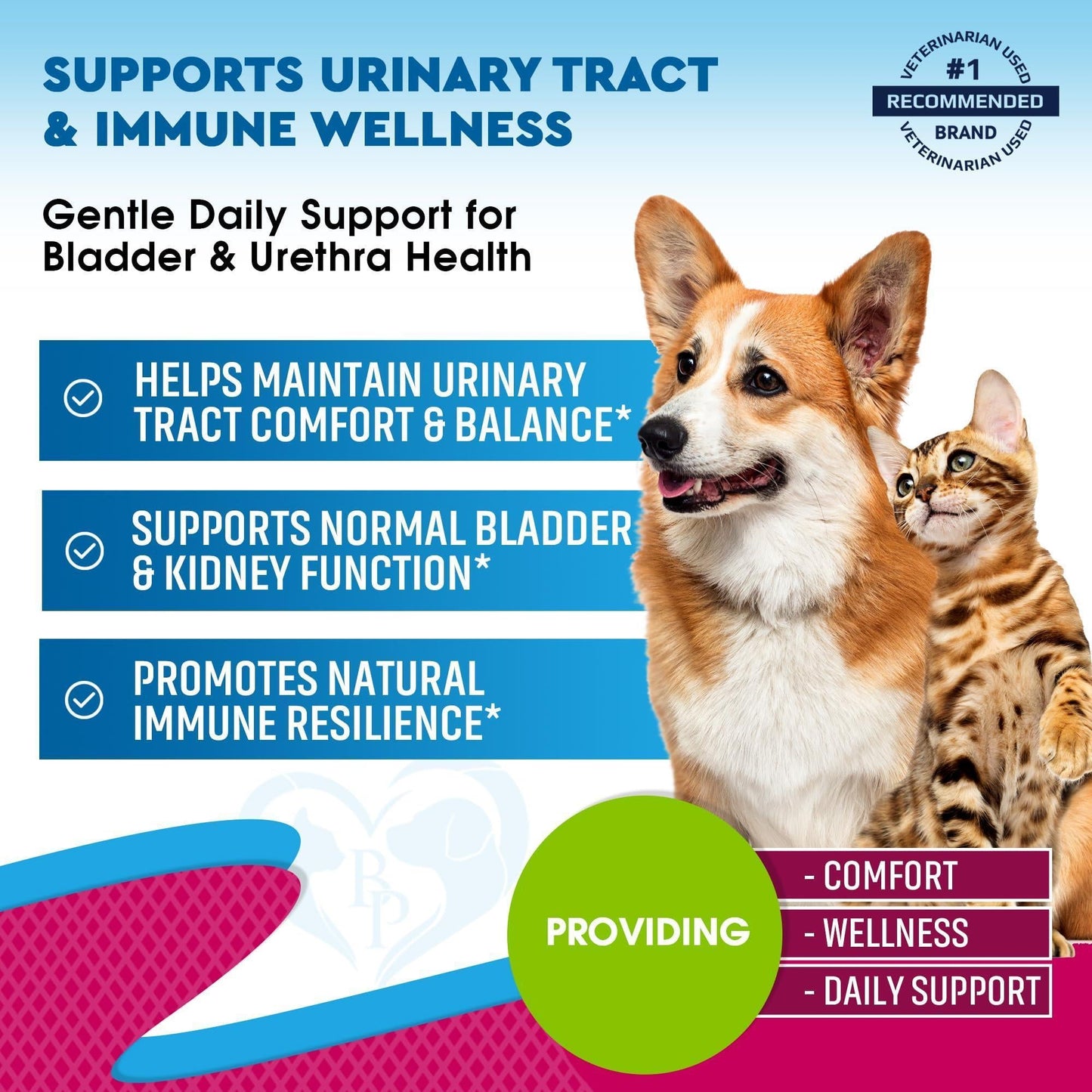 Cat Dog Urinary Tract Infection Treatment Natural UTI Medicine Cranberry 2 Pack 60 ml D Mannose  Kidney Bladder Support Best for Incontinence Pet Renal Health & Care Drops
