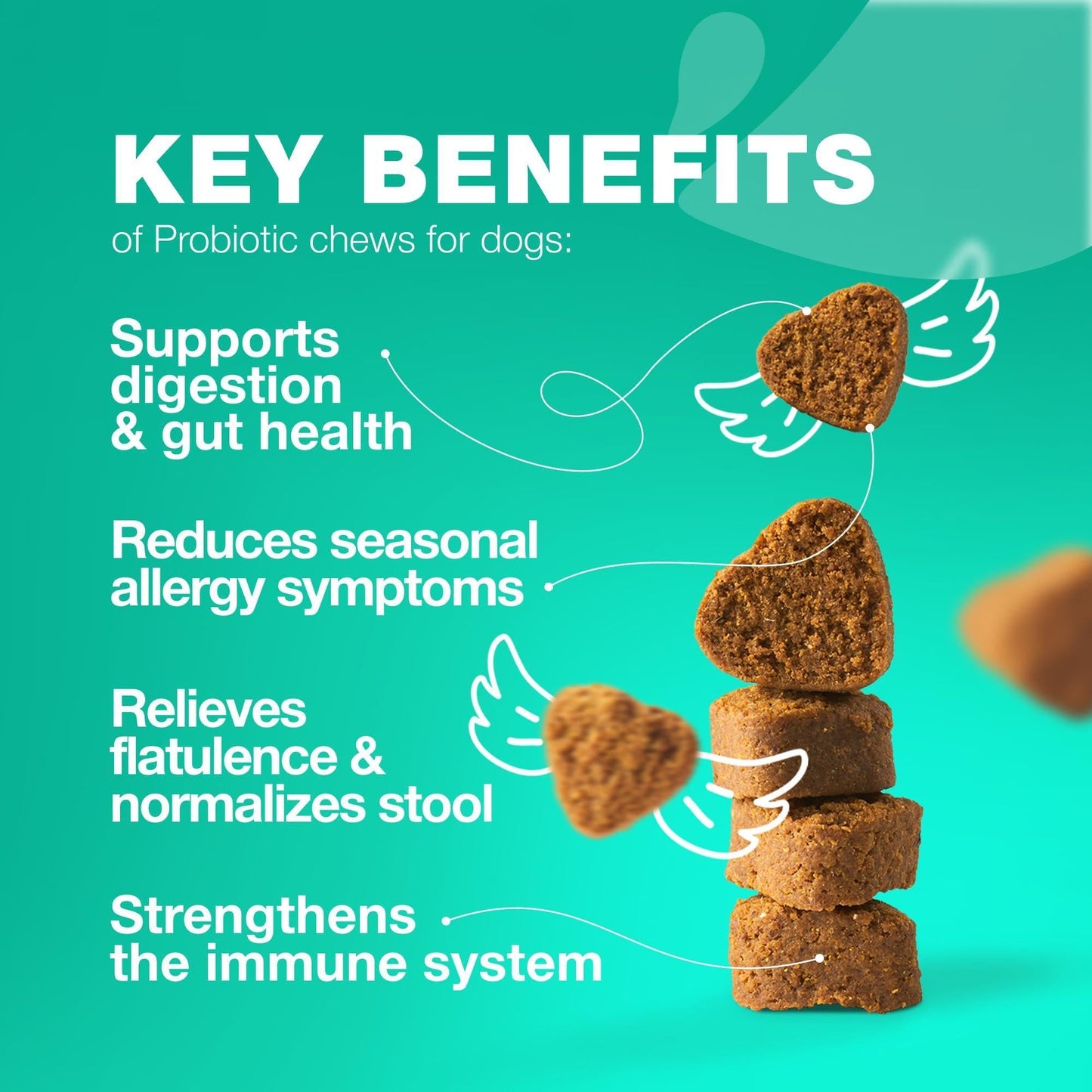 Probiotics for Dogs Gut Health Digestion Immunity Yeast Balance Itchy Skin Allergies Support   Dog Probiotic Chews with Digestive Enzymes for Gut Flora  Soft Treats with Pumpkin and Yeast Powder