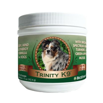 Trinity K9