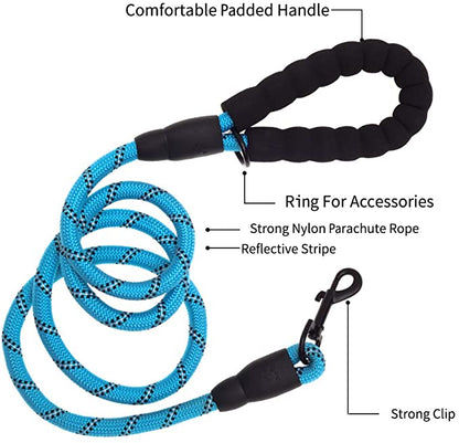 6 FT Dog Leash for Large and Medium Dogs-Blue set of 5