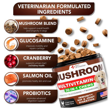 (2 Pack) Mushroom for Dogs 340 Chews Turkey Tail Mushroom Supplement for Dogs Lions Mane Reishi Immunity Support Multivitamin Vitamins Joint Health Energy Gut Skin Made in USA