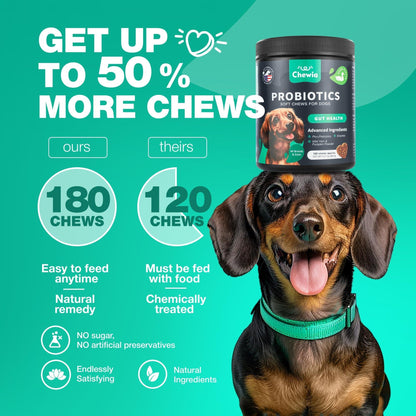 Probiotics for Dogs Gut Health Digestion Immunity Yeast Balance Itchy Skin Allergies Support   Dog Probiotic Chews with Digestive Enzymes for Gut Flora  Soft Treats with Pumpkin and Yeast Powder