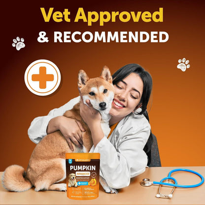 Pumpkin Powder for Dogs Digestive Support 16 OZ Fiber Supplement for
