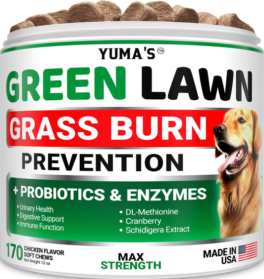Green Lawn Chews for Dogs Probiotics and Digestive Enzymes Supplement Gut