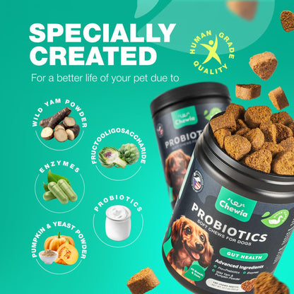 Probiotics for Dogs Gut Health Digestion Immunity Yeast Balance Itchy Skin Allergies Support   Dog Probiotic Chews with Digestive Enzymes for Gut Flora  Soft Treats with Pumpkin and Yeast Powder