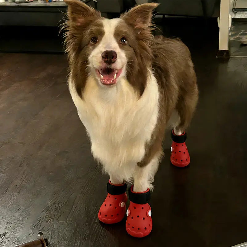 4-Pack Dog Shoes All-Season Universal Clogs Spring Summer Breathable Outdoor Dog Paw Protection Soft Sole Pet Shoes-Dog Boots for Small & Medium & Large Dogs